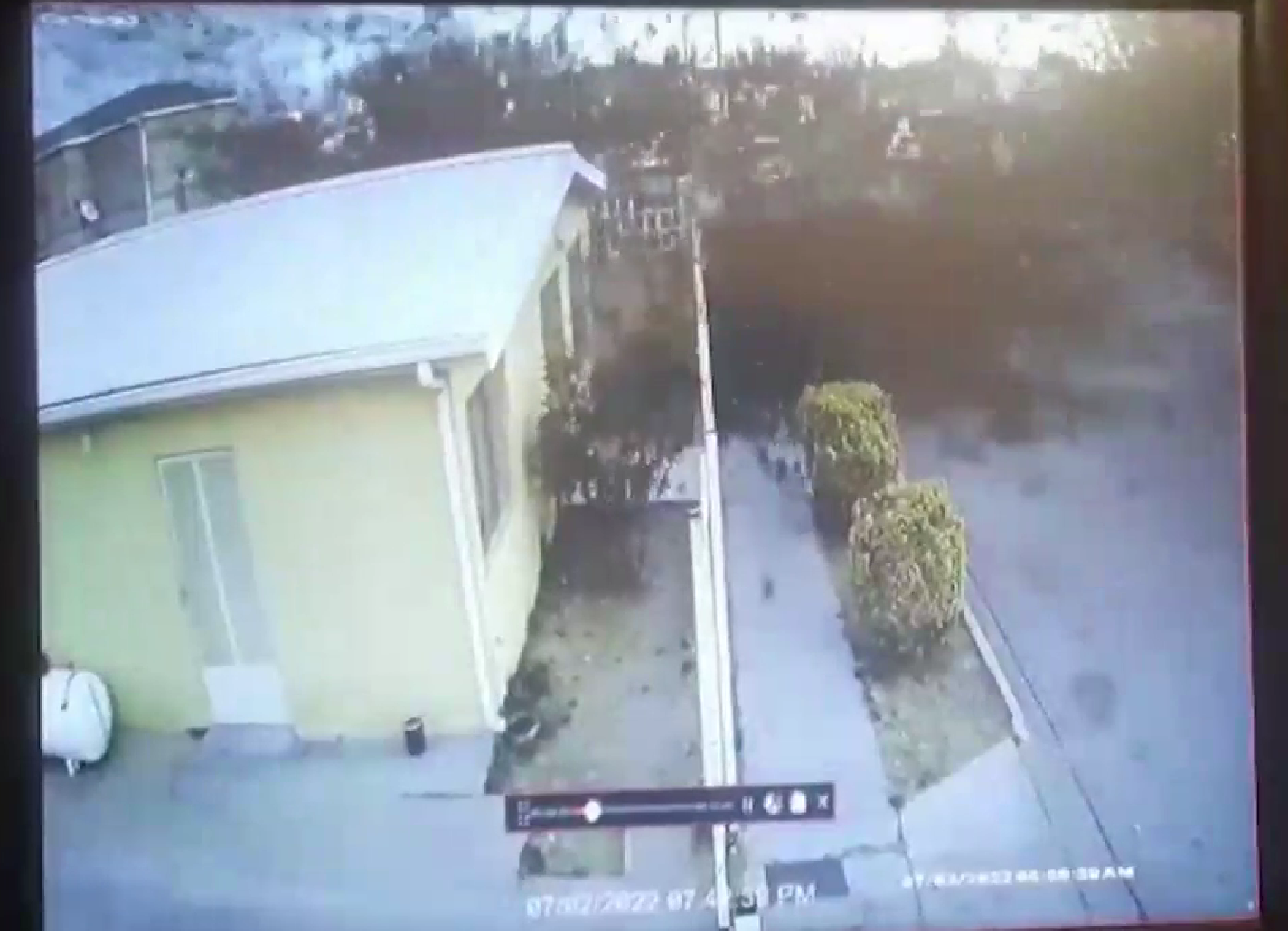 Video, Meksika'da Yüzlerce Kuşun Gökten Düşüp Öldüğü Anı Yakaladı!