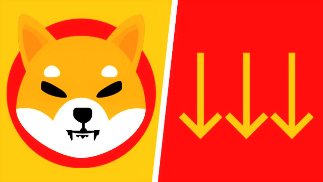 Shiba Inu (SHIB) İşlem Sayısı Dibe Vurdu