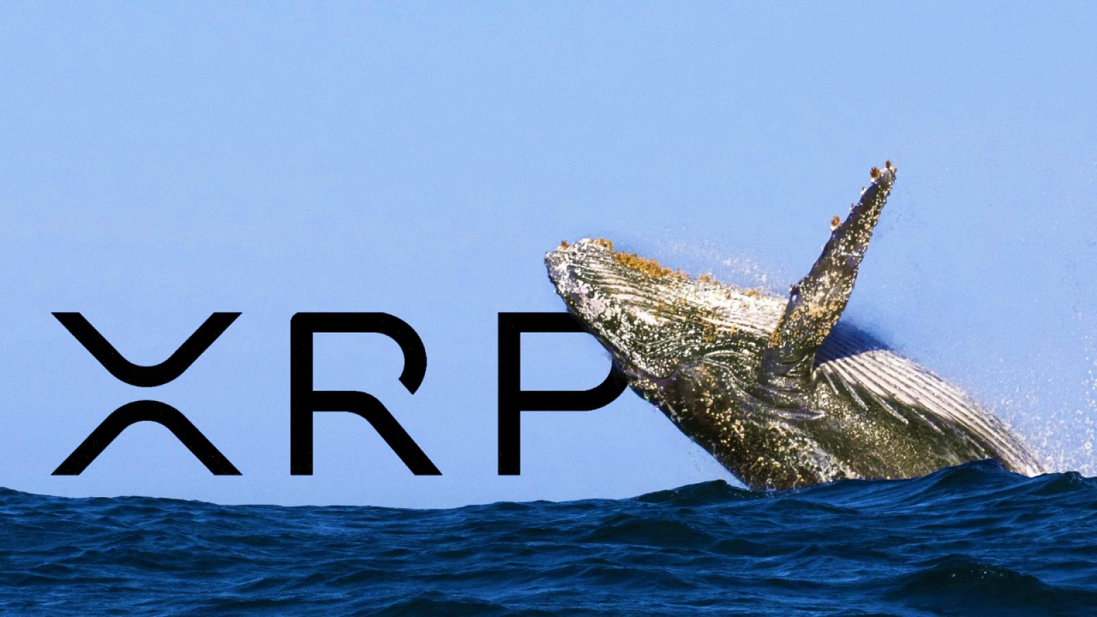 SEC Davasının Sonuna Yaklaşılırken Ripple Balina Sayısı Artıyor