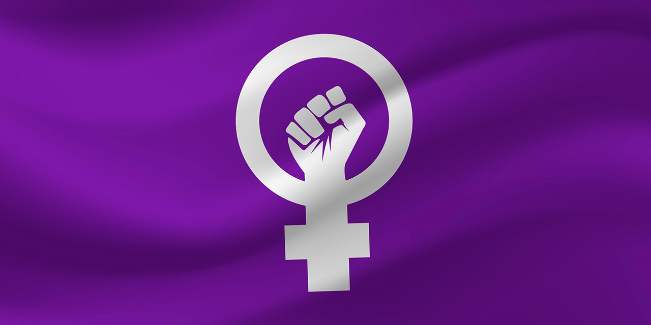 Feminizmin Temel Argümanları