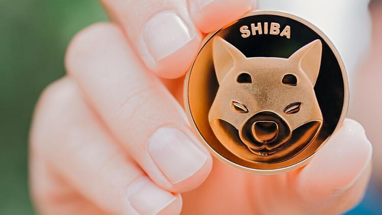 Shiba Inu'dan Kurtulmak Robinhood'a Milyon Liralara Mâl Olabilir