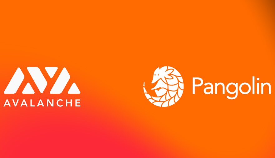 En Çok Araştırılan Coin! Pangolin Nedir? İşte Tüm Detaylar