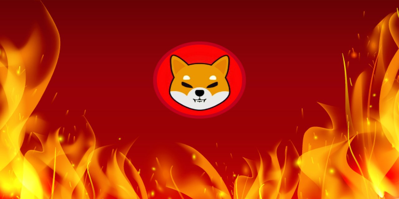 24 Saat İçinde 17 Milyon Shiba Inu Yakıldı