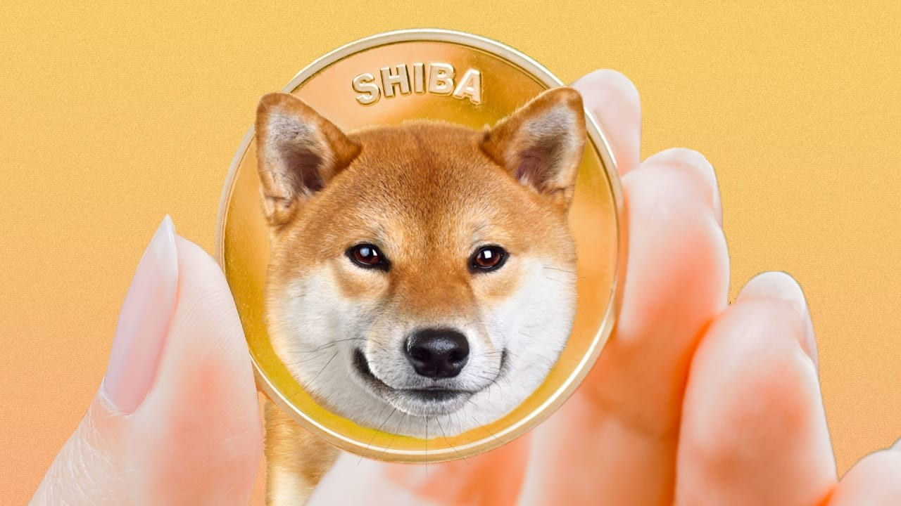 Shiba Inu Artık 1.145 Milyondan Fazla Cüzdanda