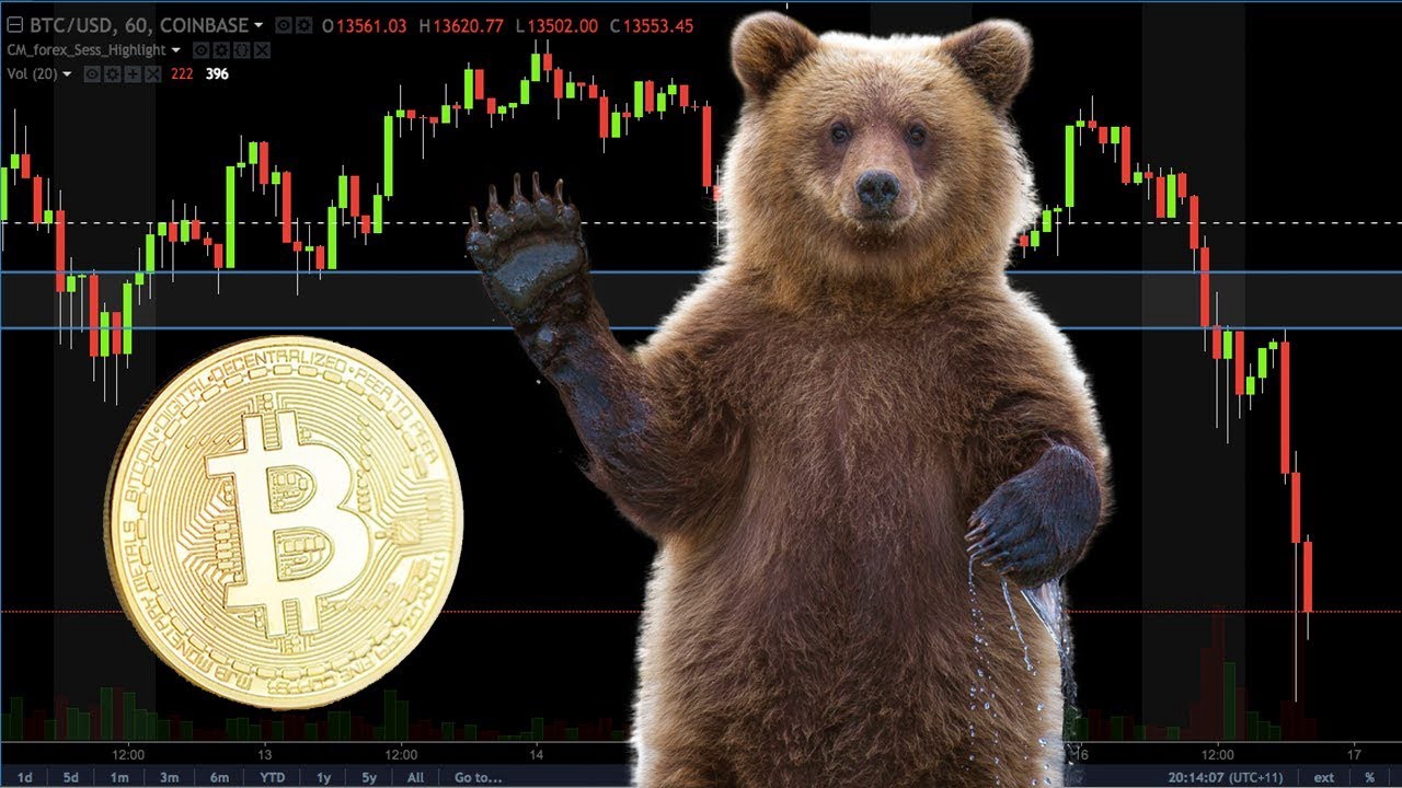 Kripto Ayı Piyasası Rehberi: Canavar İle Nasıl Başa Çıkılır?